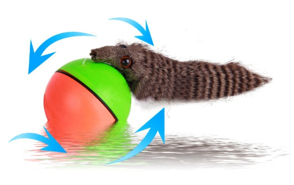 Electric Beaver Ball Water Cat Bath Play Water Toys