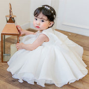 Girl Catwalk Baby Princess Dress